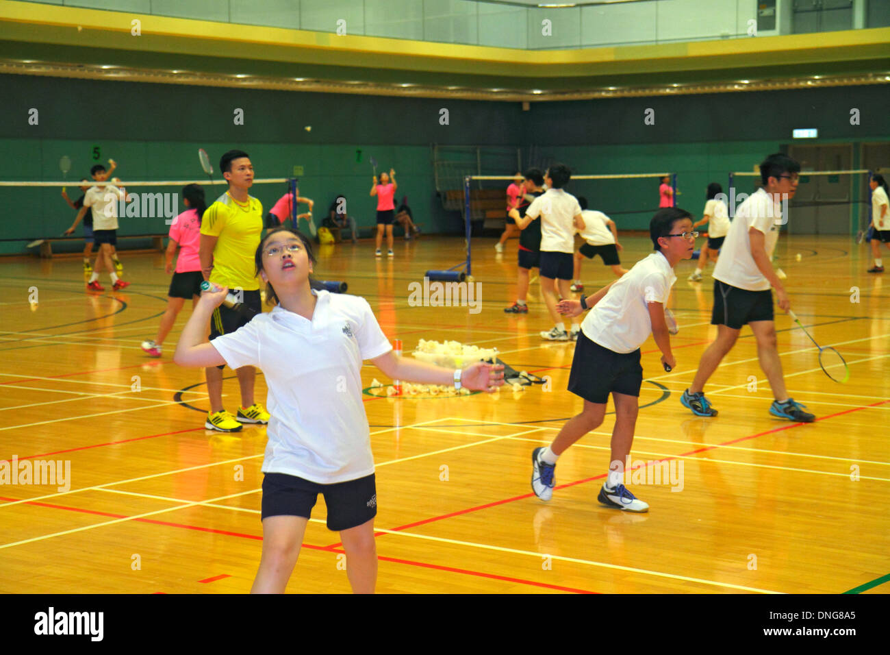 Hong Kong Cina, Hong Kong, cinese, isola, centrale, Hong Kong Park Sports Center, centro, campi da badminton, al coperto, palestra, uomo asiatico maschio, insegnante, insegnanti, bo Foto Stock