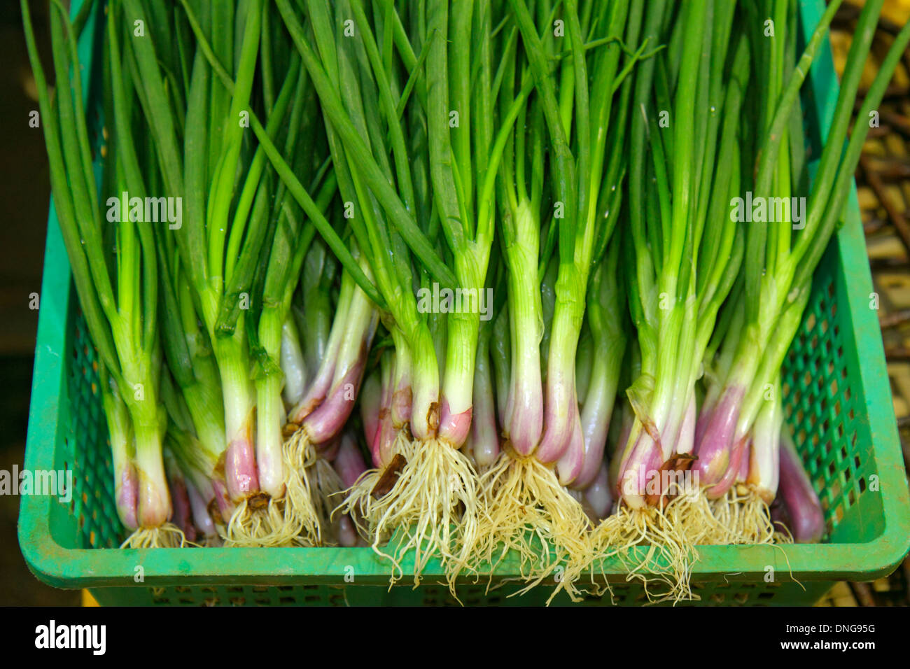 Hong Kong Cina,HK,Asia,Cinese,Orientale,Isola,North Point,Java Road,North Point Ferry Pier,produce,venditori bancarelle stand mercato marketpl Foto Stock