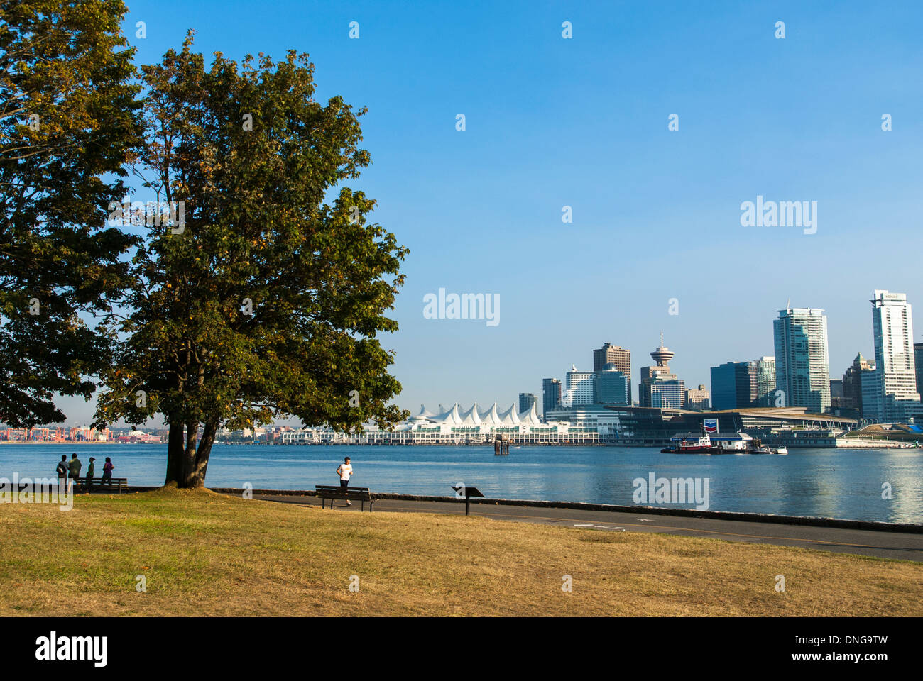 Stanley Park. Vancouver, British Columbia, Canada. Foto Stock