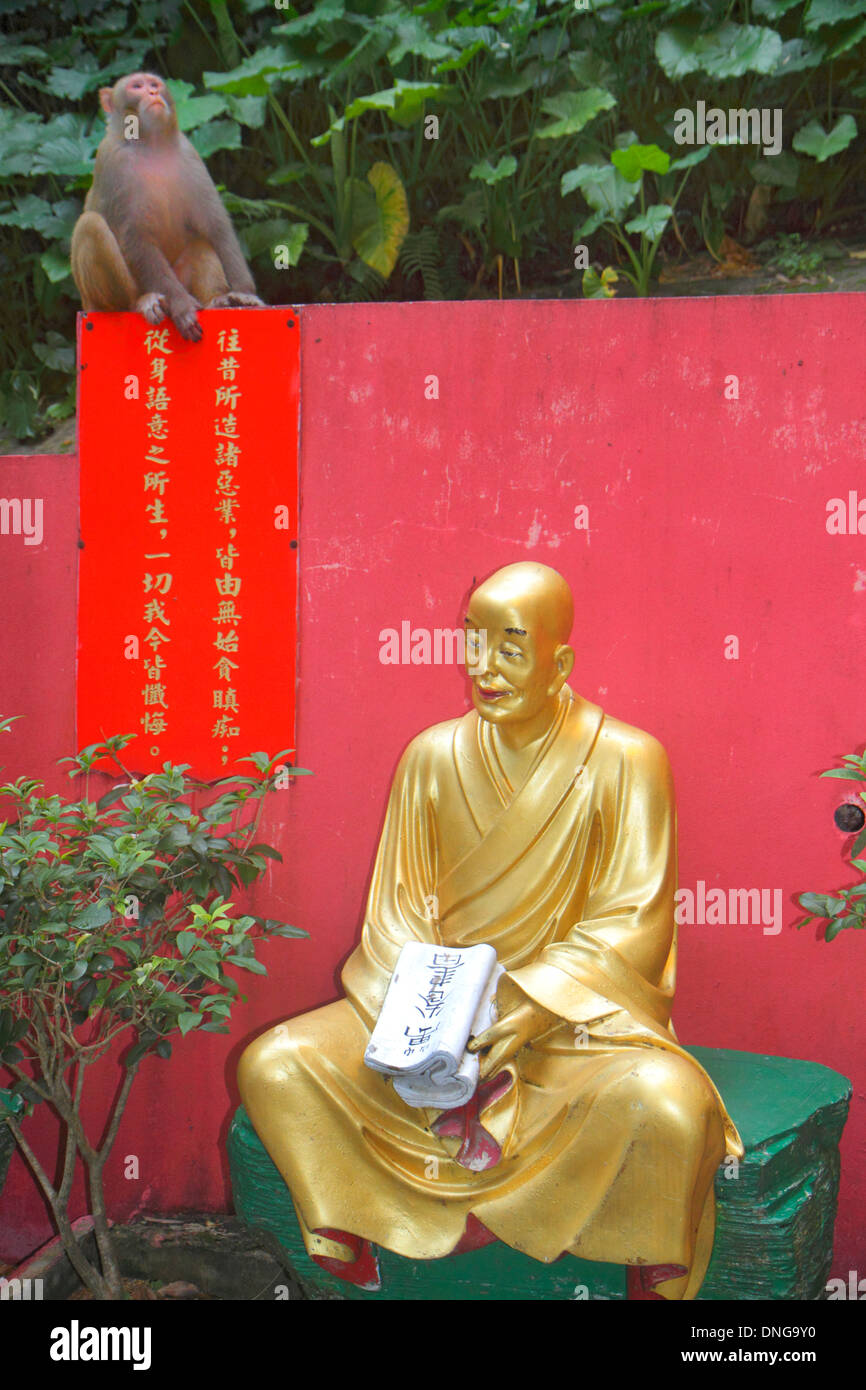 Hong Kong Cina,Hong Kong,Hong Kong,Asia,Cinese,Orientale,nuovi territori,Sha Tin,diecimila 10,000 Buddha Monastero,Golden,percorso,statue,Buddha,Buddismo,macaque mon Foto Stock