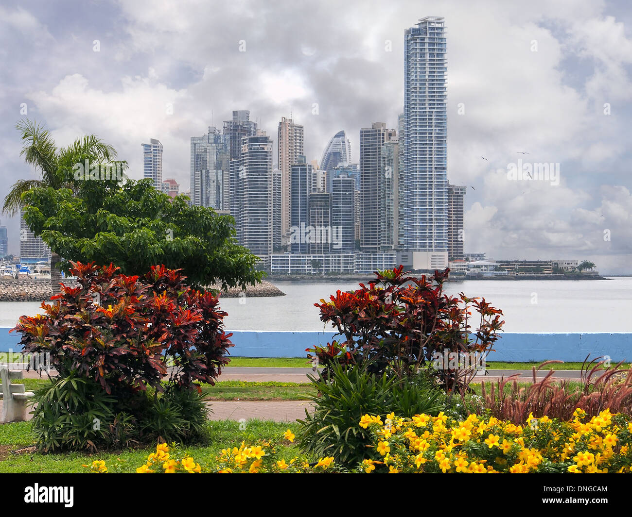 Grattacieli con coloratissime piante tropicali e un cielo tempestoso, Panama City, Panama America Centrale Foto Stock