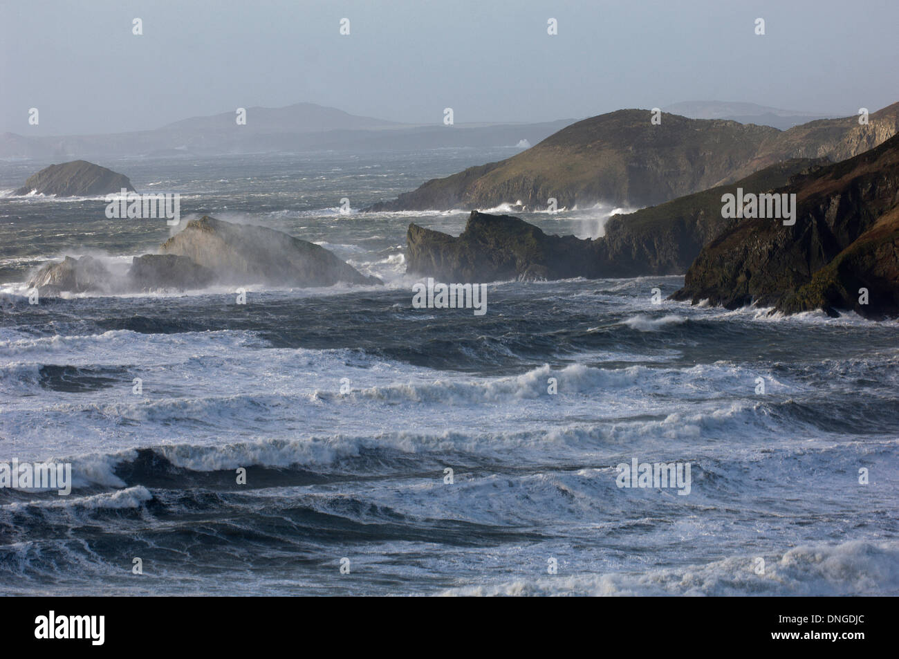 Newgale, Pembrokeshire, Wales, Regno Unito. 27 dicembre 21013. Tempesta di vento di forza creato enormi onde come lontano come orizzonte sulla costa sud occidentale del Galles. Credito: Graham M. Lawrence/Alamy Live News. Foto Stock