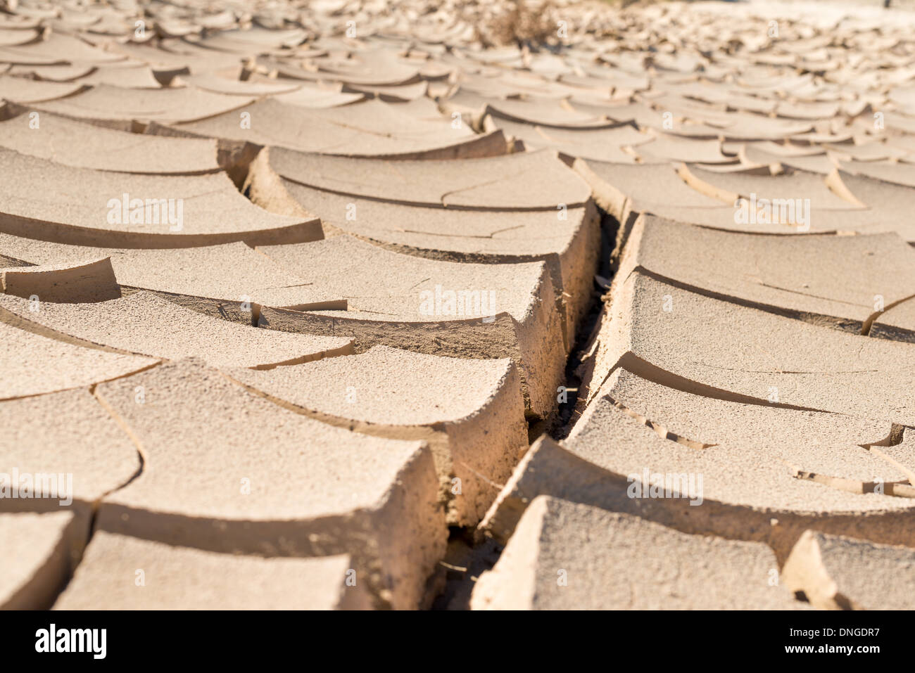 Il terreno asciutto nella Valle della Morte Foto Stock
