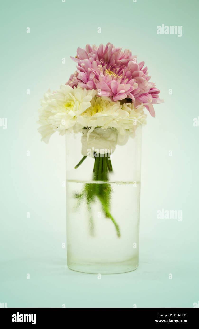 Bouquet di fiori in un bicchiere su sfondo pastello Foto Stock