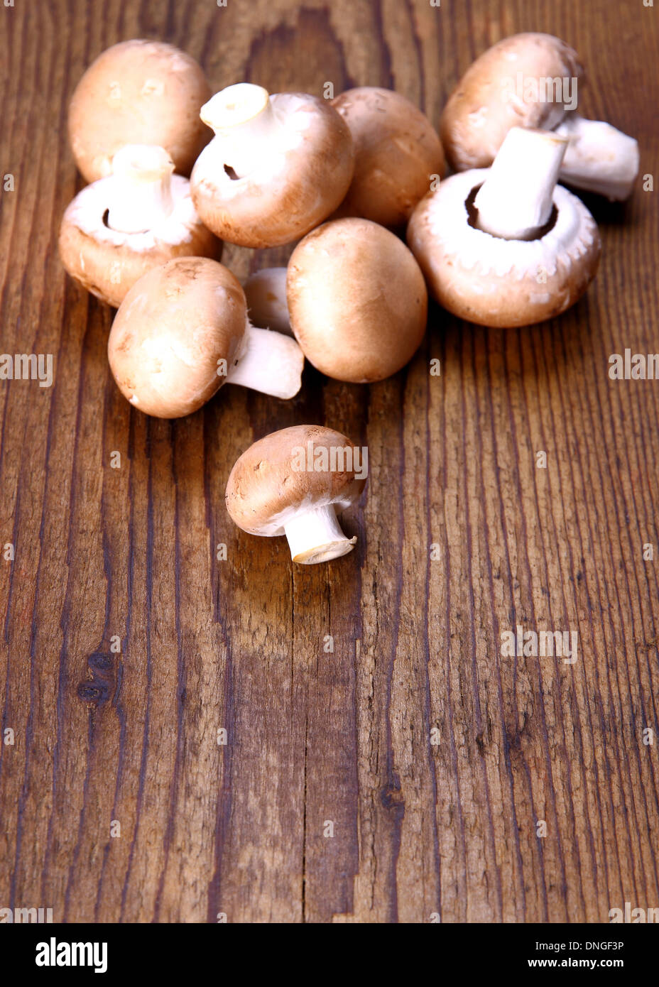 Fungo marrone su uno sfondo di legno, close up Foto Stock