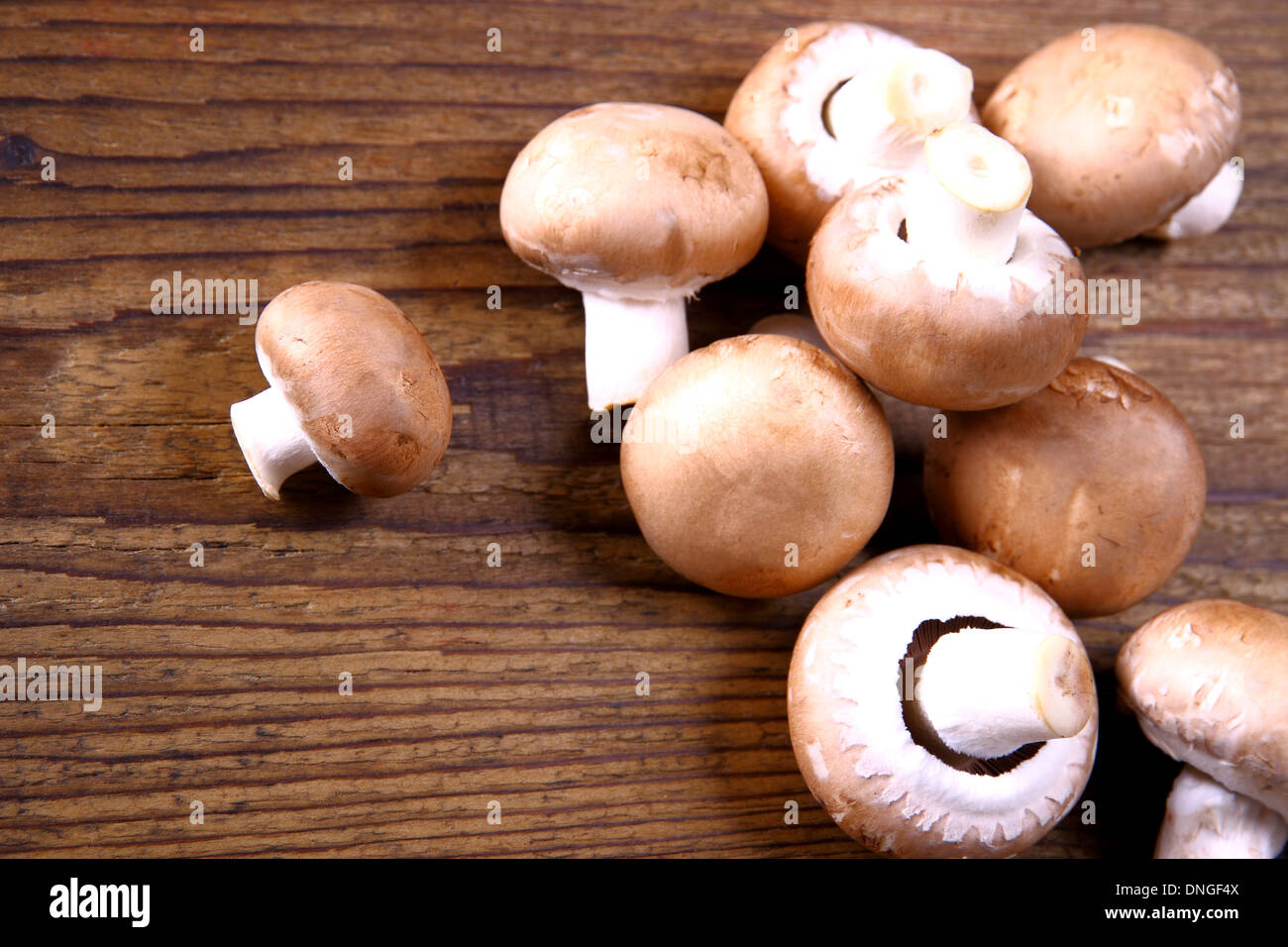 Fungo marrone su uno sfondo di legno, hotizontal Foto Stock