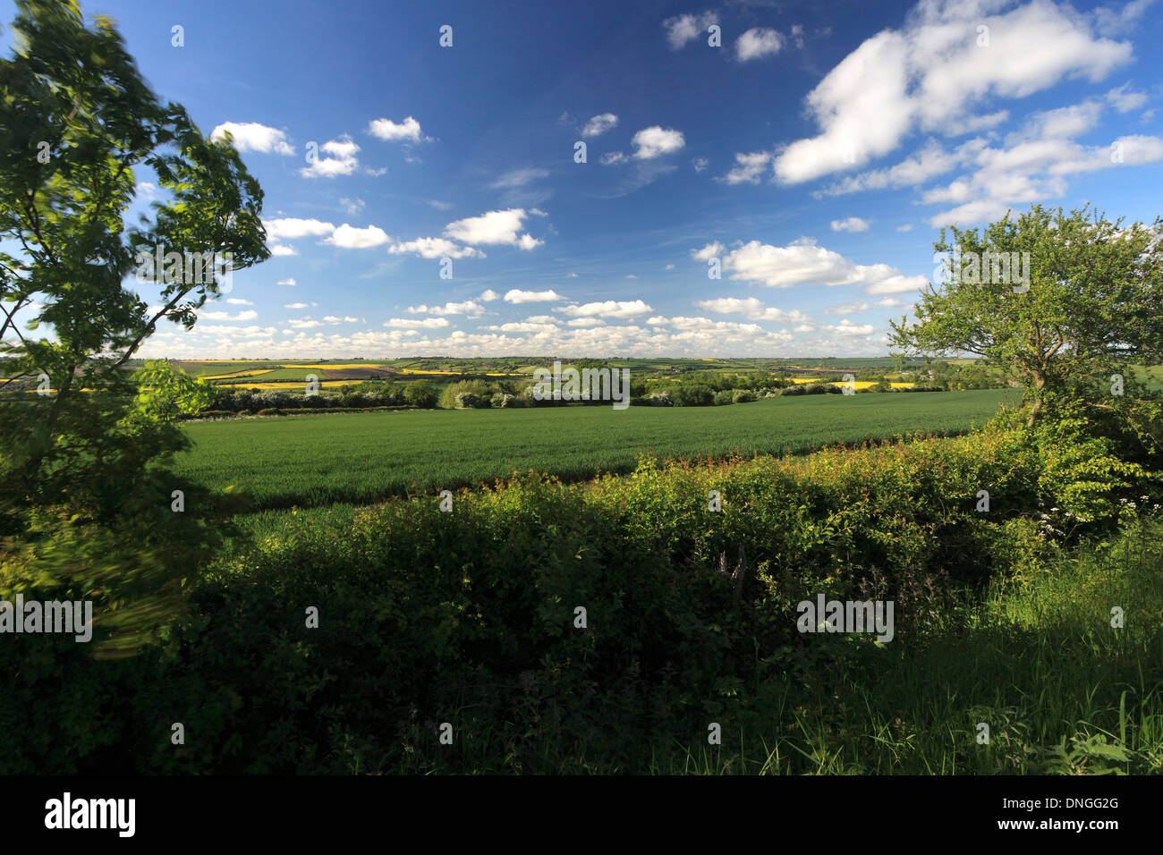 Vista estiva del Harringworth viadotto ferroviario, fiume Welland valley, Harringworth village, Northamptonshire, Inghilterra; Gran Bretagna Foto Stock