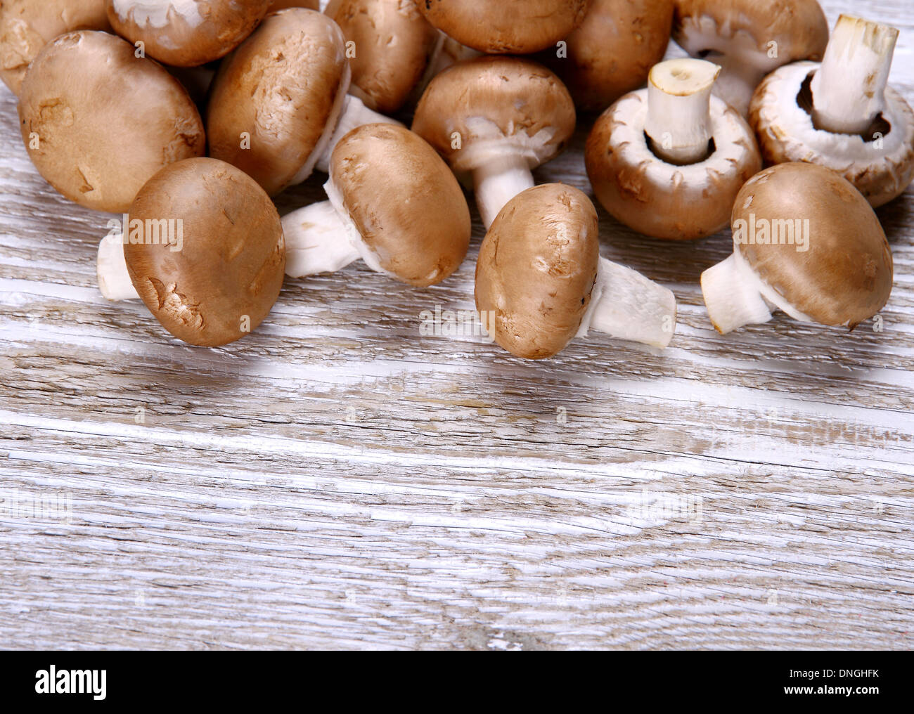 Brown fungo bianco su uno sfondo di legno, close up Foto Stock