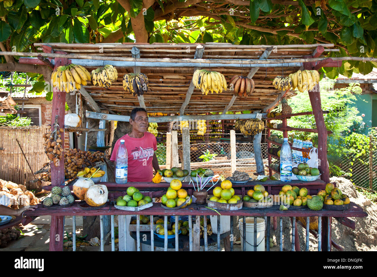Fornitore di frutta in Cuba Foto Stock
