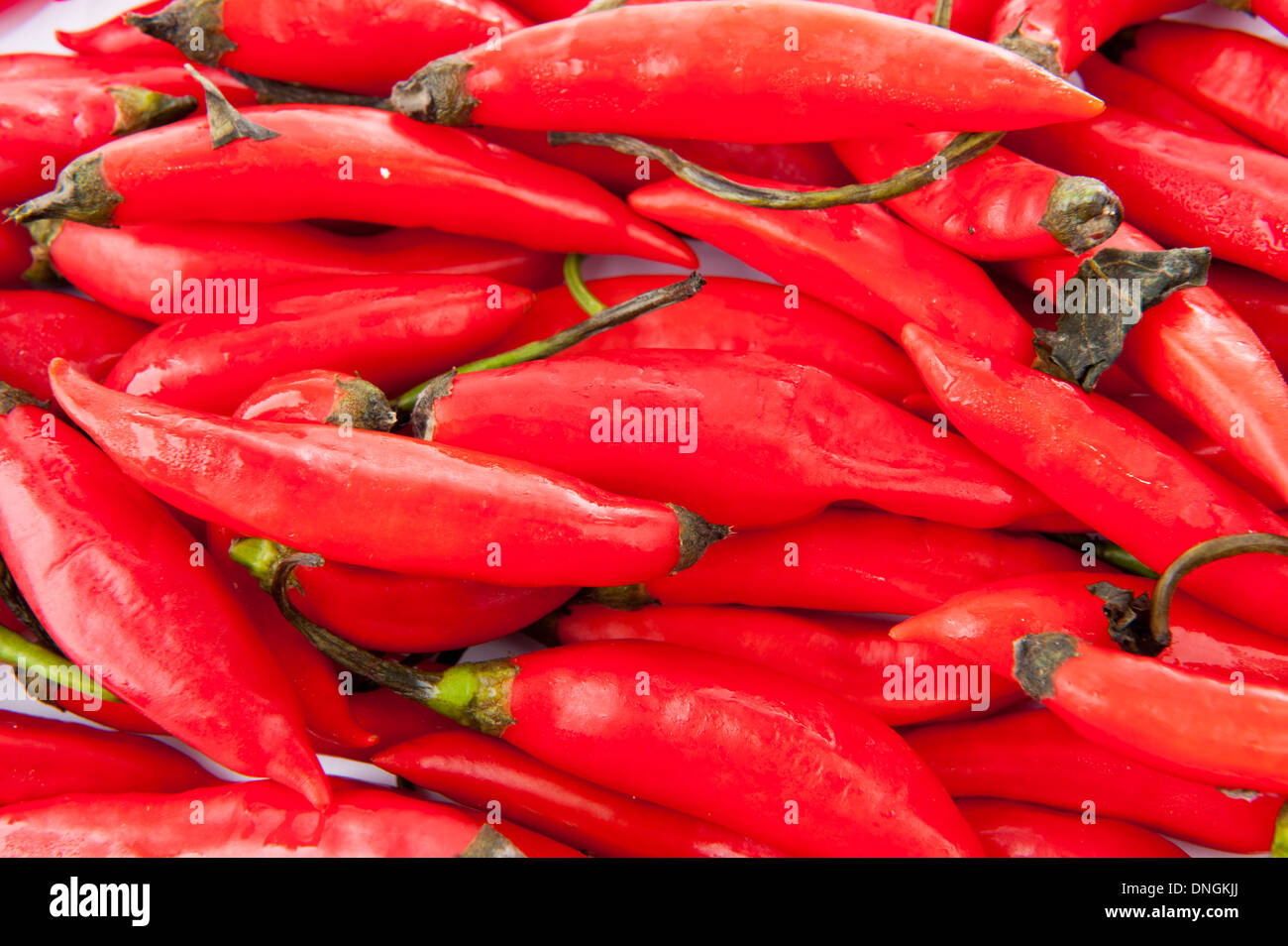 Organico rosso peperoncino . Foto Stock