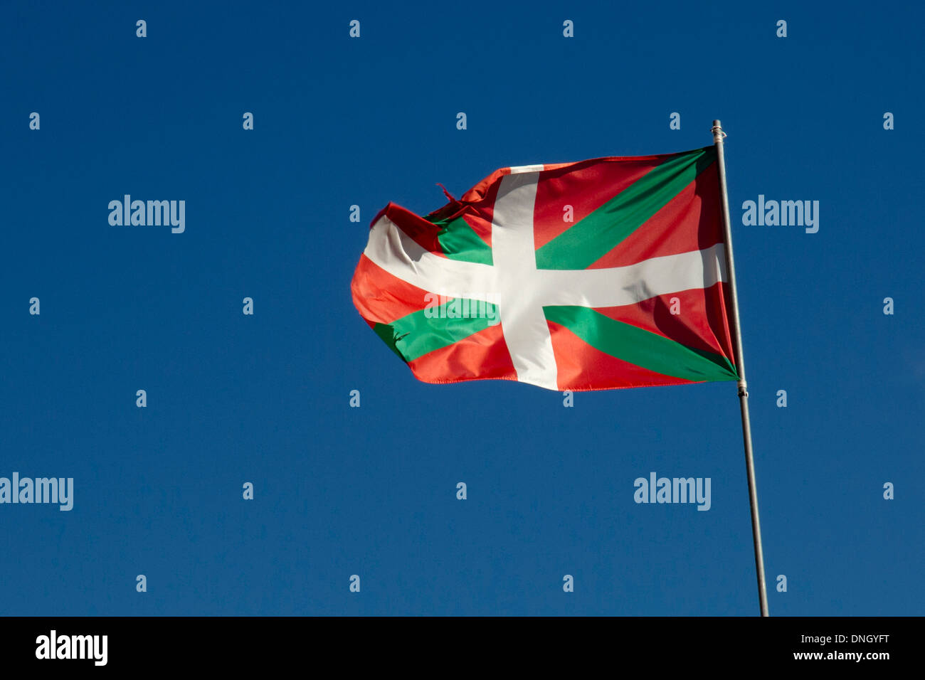 Paesi Baschi bandiera Pais Vasco Paesi baschi Spagna Europa Foto stock -  Alamy