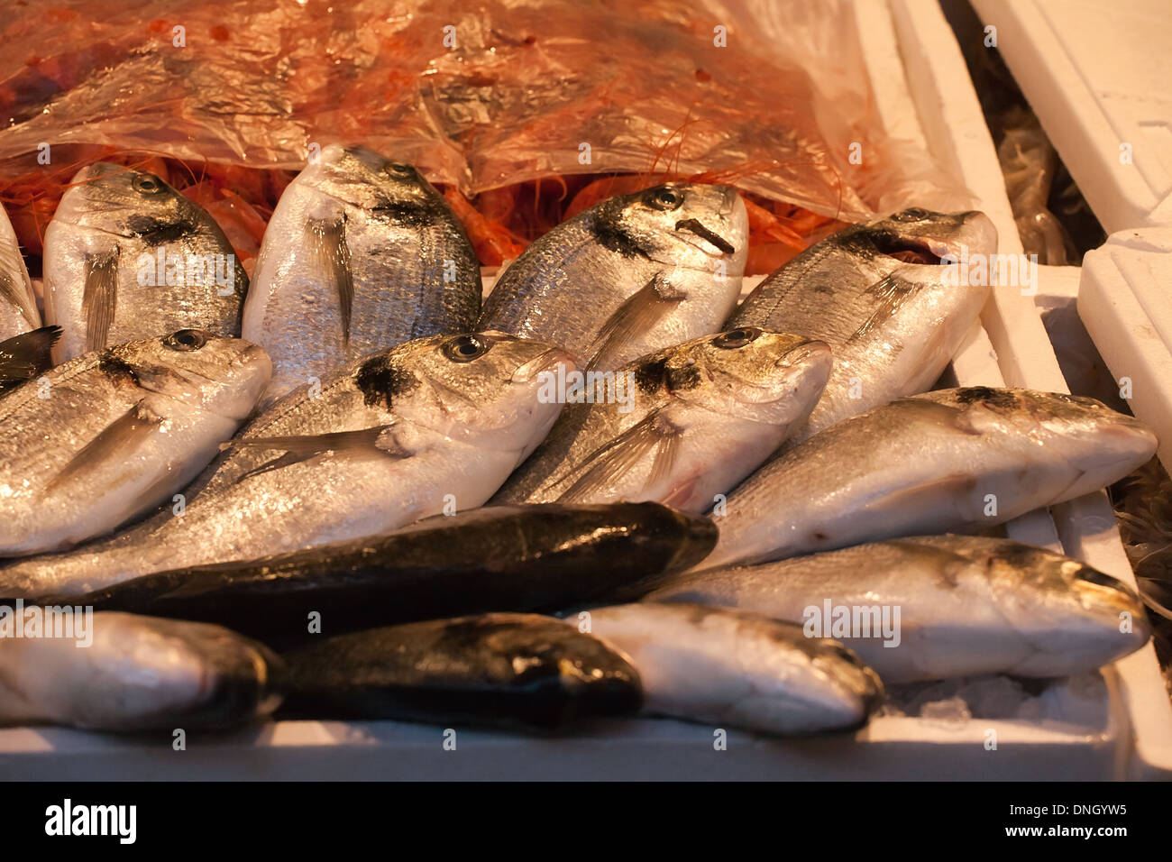 Primo piano di fresco pesce crudo sul mare tabella di mercato Foto Stock