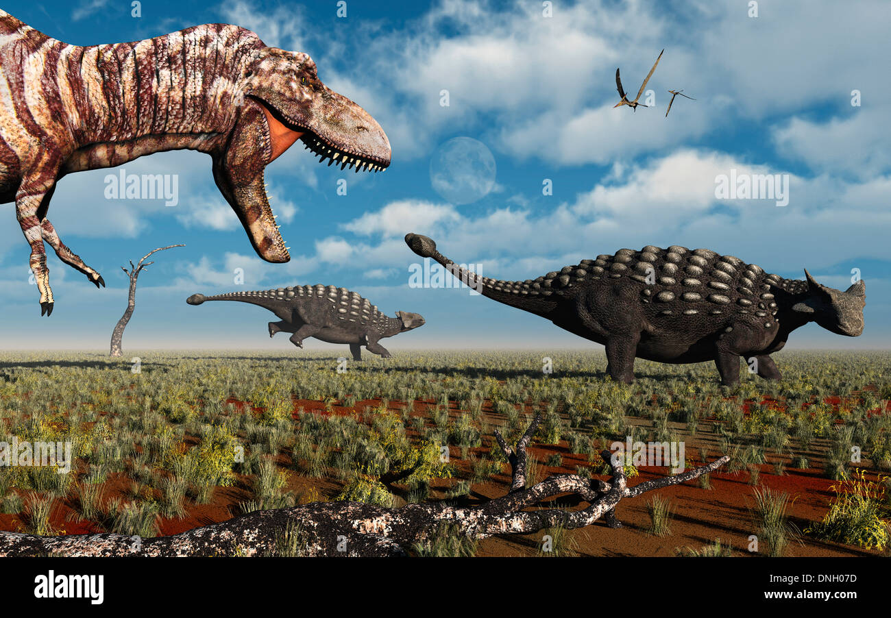 Un T.REX a caccia di una coppia di Ankylosaurus.2.. Foto Stock