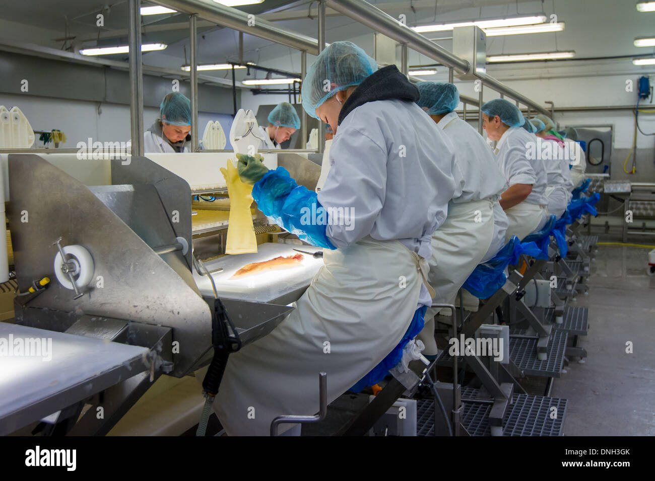 Pesce ISLANSSAGA fabbrica di trasformazione della pesca del merluzzo, VESTFIRDIR, SUDUREYRI, VESTFIRDIR, WESTFJORDS, Fiordi occidentali, Islanda, EUROPA Foto Stock