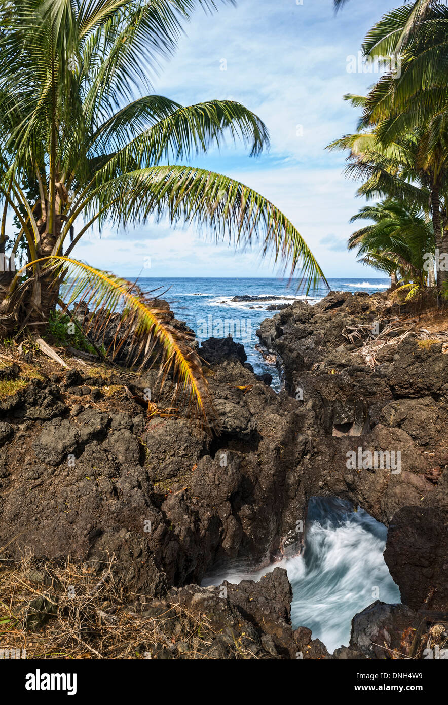 Il robusto costa vulcanica della penisola Keanae in Maui. Foto Stock