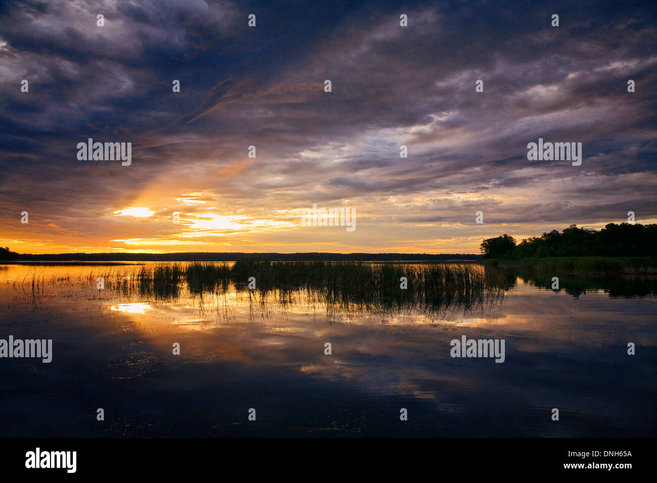 Mattina presto all'alba sul lago di Ida, Minnesota. Foto Stock