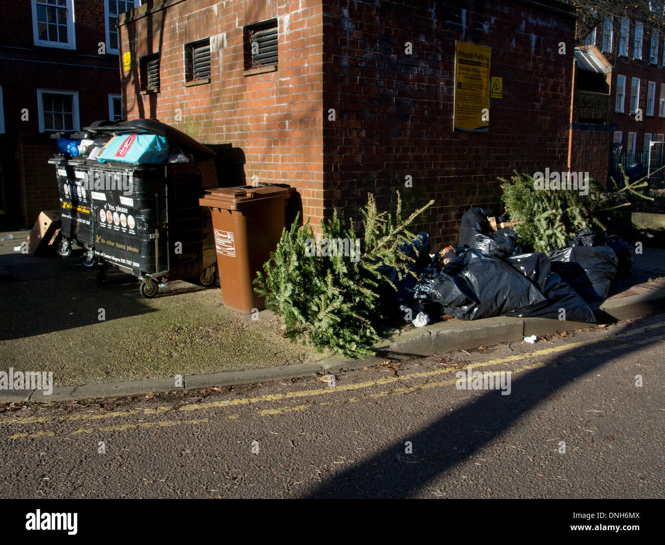 Alberi di Natale e di imballaggio per presenta oggetto di dumping con i rifiuti a un consiglio estate a Londra dopo Natale. Foto Stock