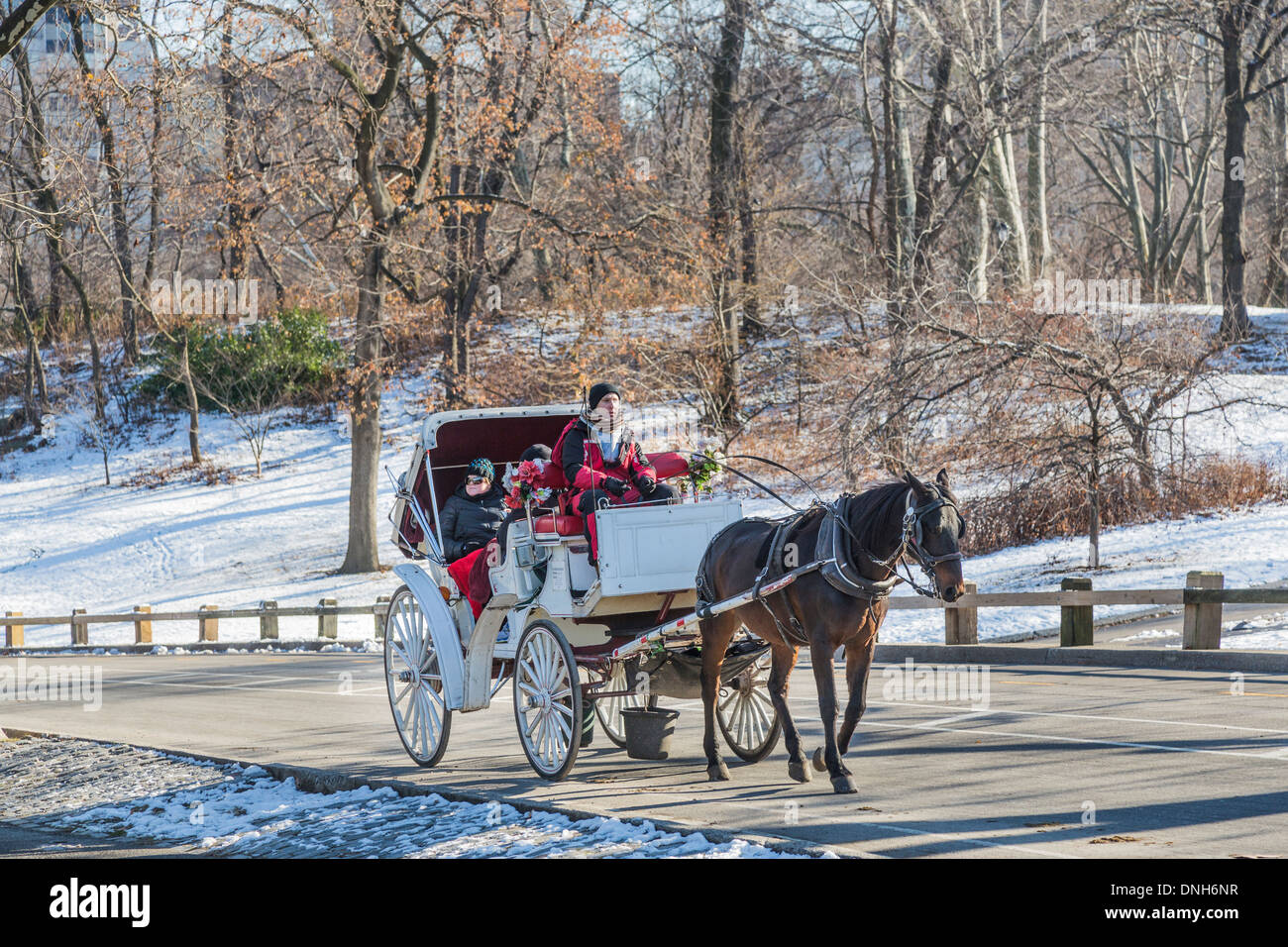 Cavallo e Carrozza per turisti nella neve in inverno a Central Park di New York, Stati Uniti d'America Foto Stock
