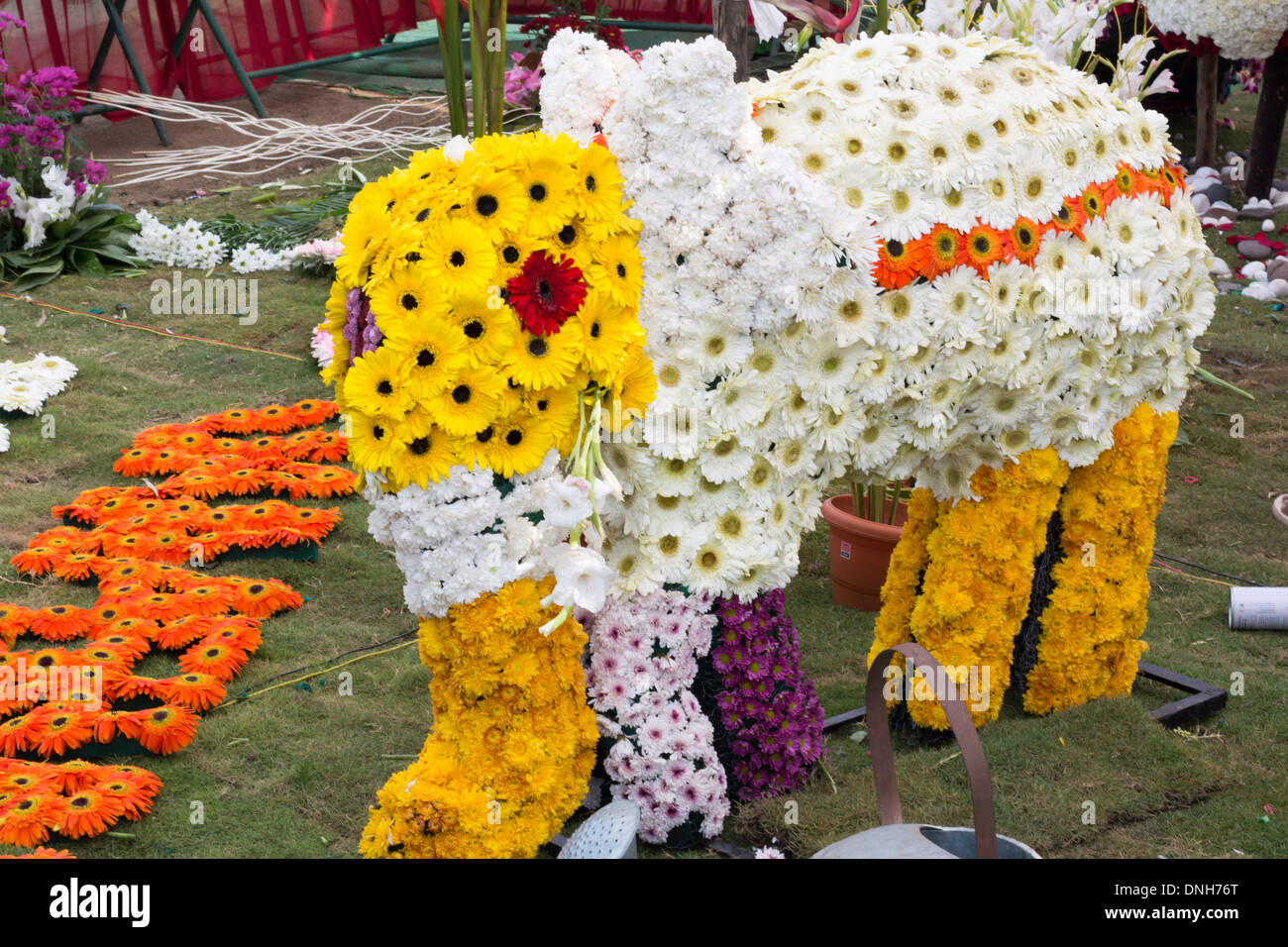 Un grazioso elefante fatto di fiori. Foto Stock