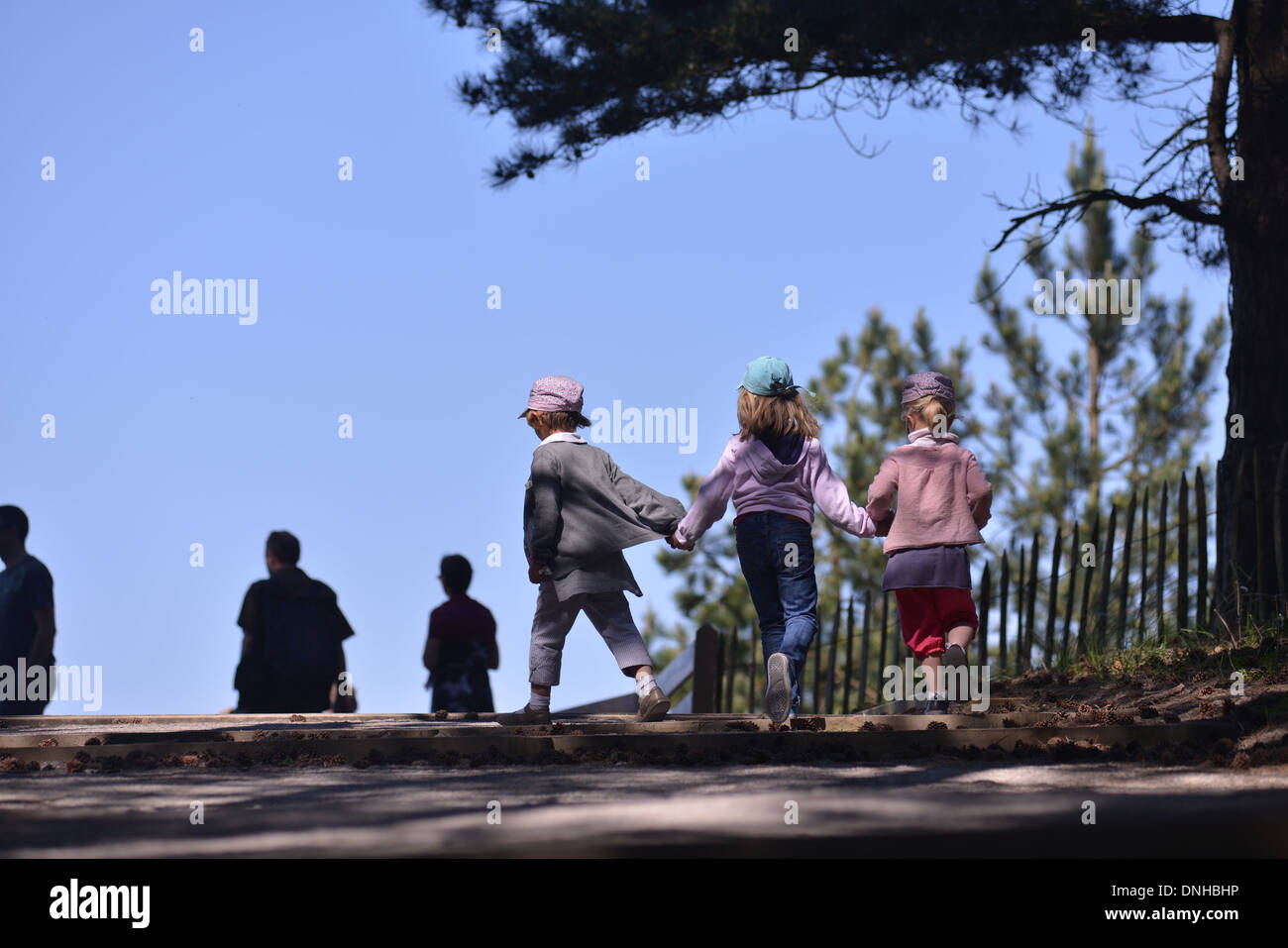 Parco del MARQUENTERRE, naturali riserva ornitologica, gruppo di bambini la visita del parco e della baia di Somme Picardia, Francia Foto Stock