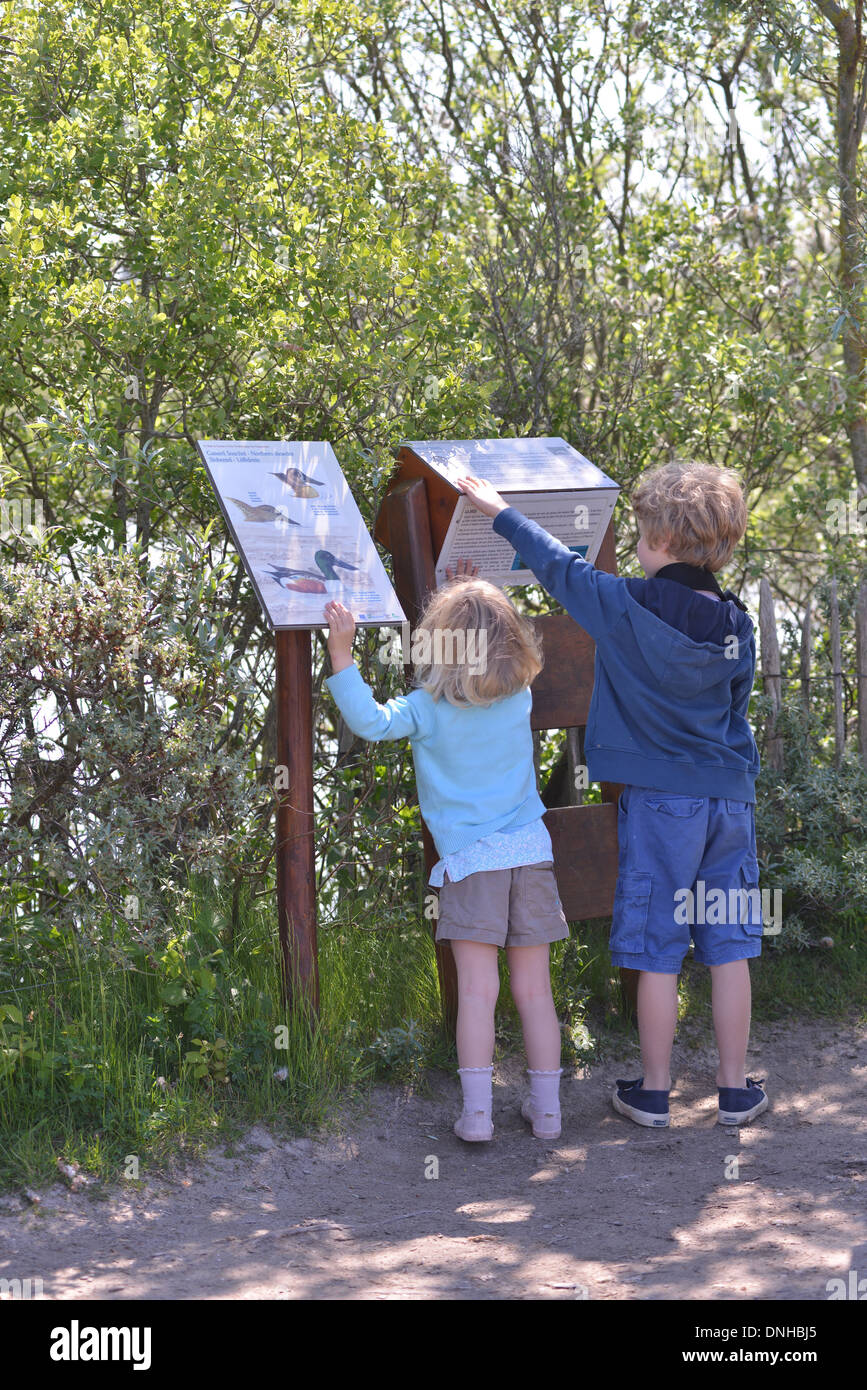 Parco del MARQUENTERRE, naturali riserva ornitologica, bambini la visita del parco e della baia di Somme Picardia, Francia Foto Stock