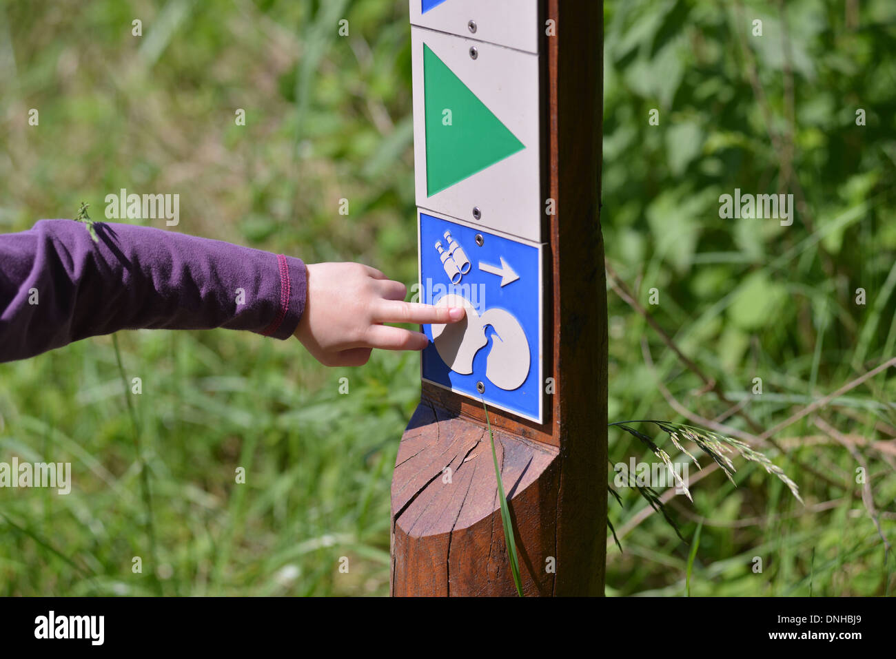 Parco del MARQUENTERRE, naturali riserva ornitologica, bambini la visita del parco e della baia di Somme Picardia, Francia Foto Stock