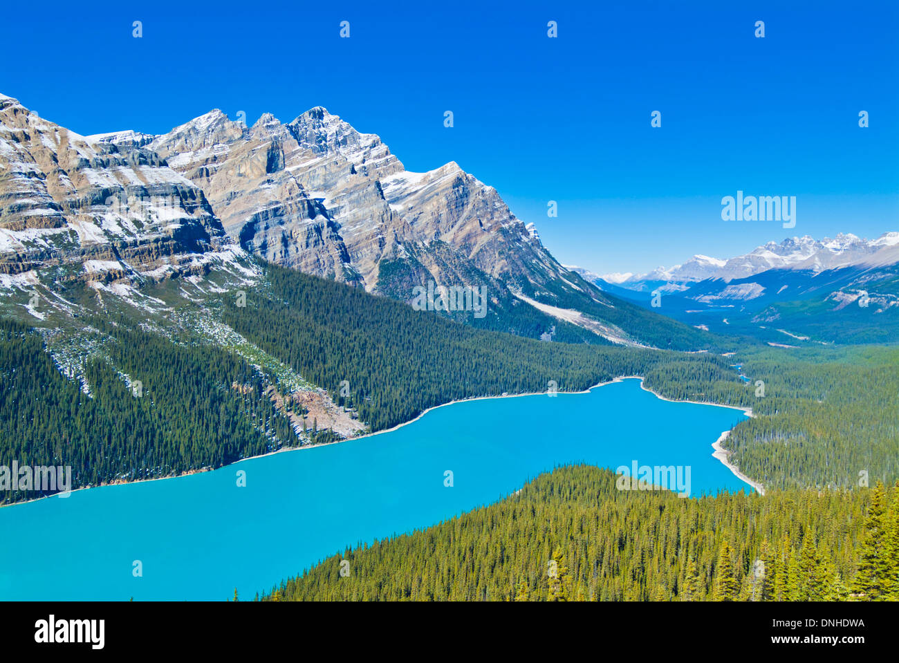 Lago Peyto un lago alimentato dal ghiacciaio nel Parco Nazionale di Banff nelle Montagne Rocciose canadesi Icefields Parkway Alberta Canada Nord America Foto Stock