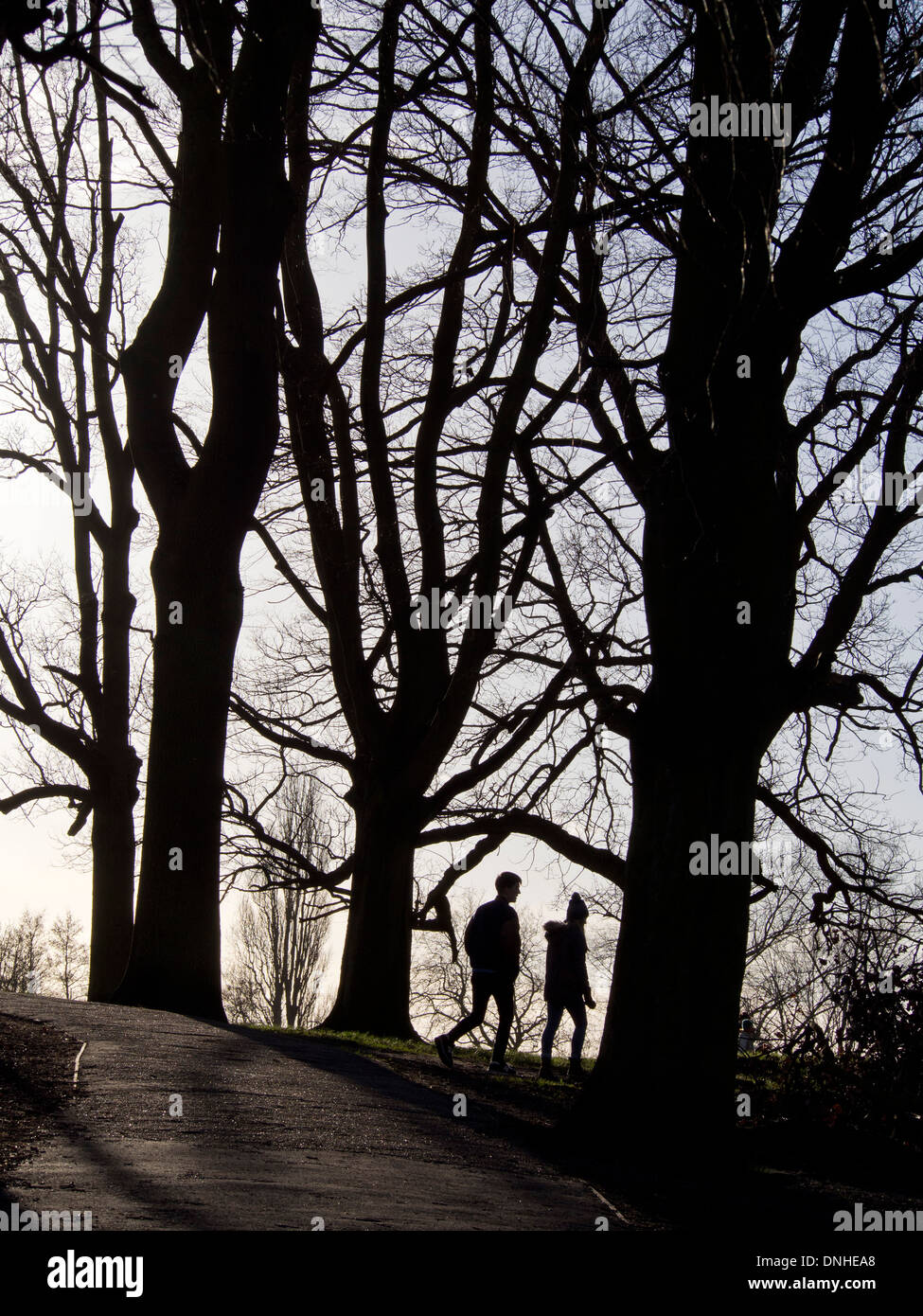 La gente che camminava sul Hamstead Heath, London, Regno Unito Foto Stock