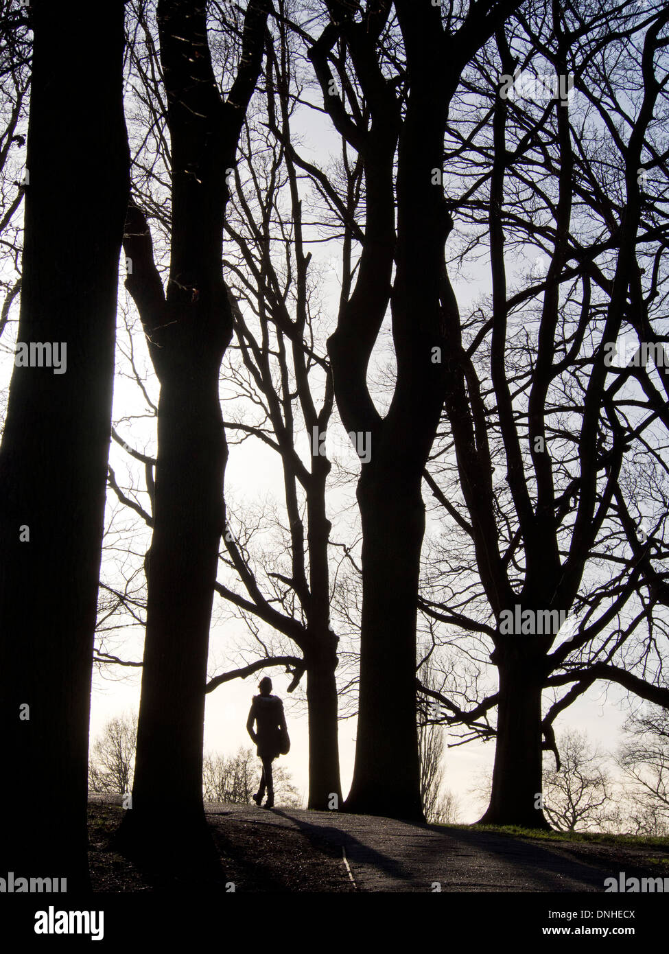 Donna che cammina su Hamstead Heath, London, Regno Unito Foto Stock