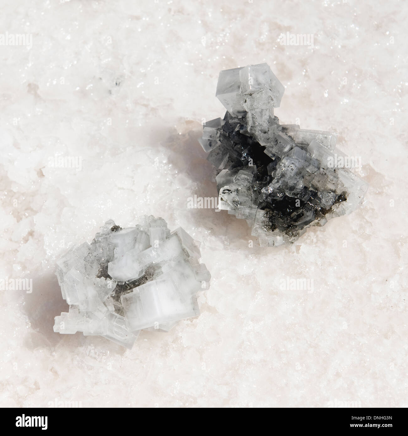 I cristalli di sale del Salar de Uyuni, Potosi, Bolivia Foto Stock