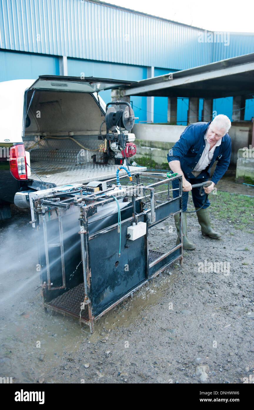 Pulizia contraente fuori le sue pecore delle attrezzature di movimentazione come parte di Bio-misure di sicurezza per prevenire la malattia. Cumbria, Regno Unito. Foto Stock