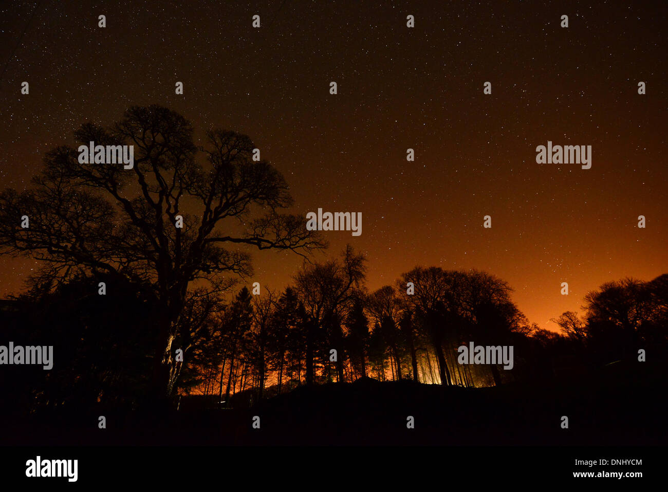 A Aberlady, East Lothian, Scozia, Regno Unito. Il 31 dicembre 2013. La figura mostra una stella illuminata sky oltre a Aberlady, East Lothian, Scozia, un benvenuto vista dopo le recenti tempeste. Credito: Howard Walker/Alamy Live News Foto Stock