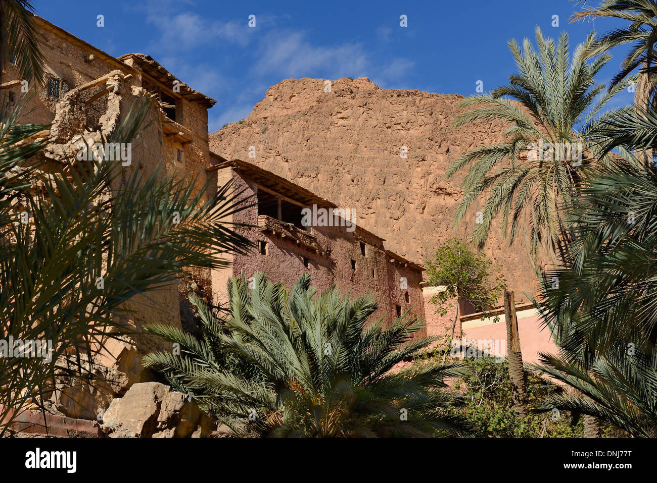Il Marocco, Anti-Atlas,Palm grove e kasbah nelle scanalature di Oumansour vicino a Tafraoute Foto Stock