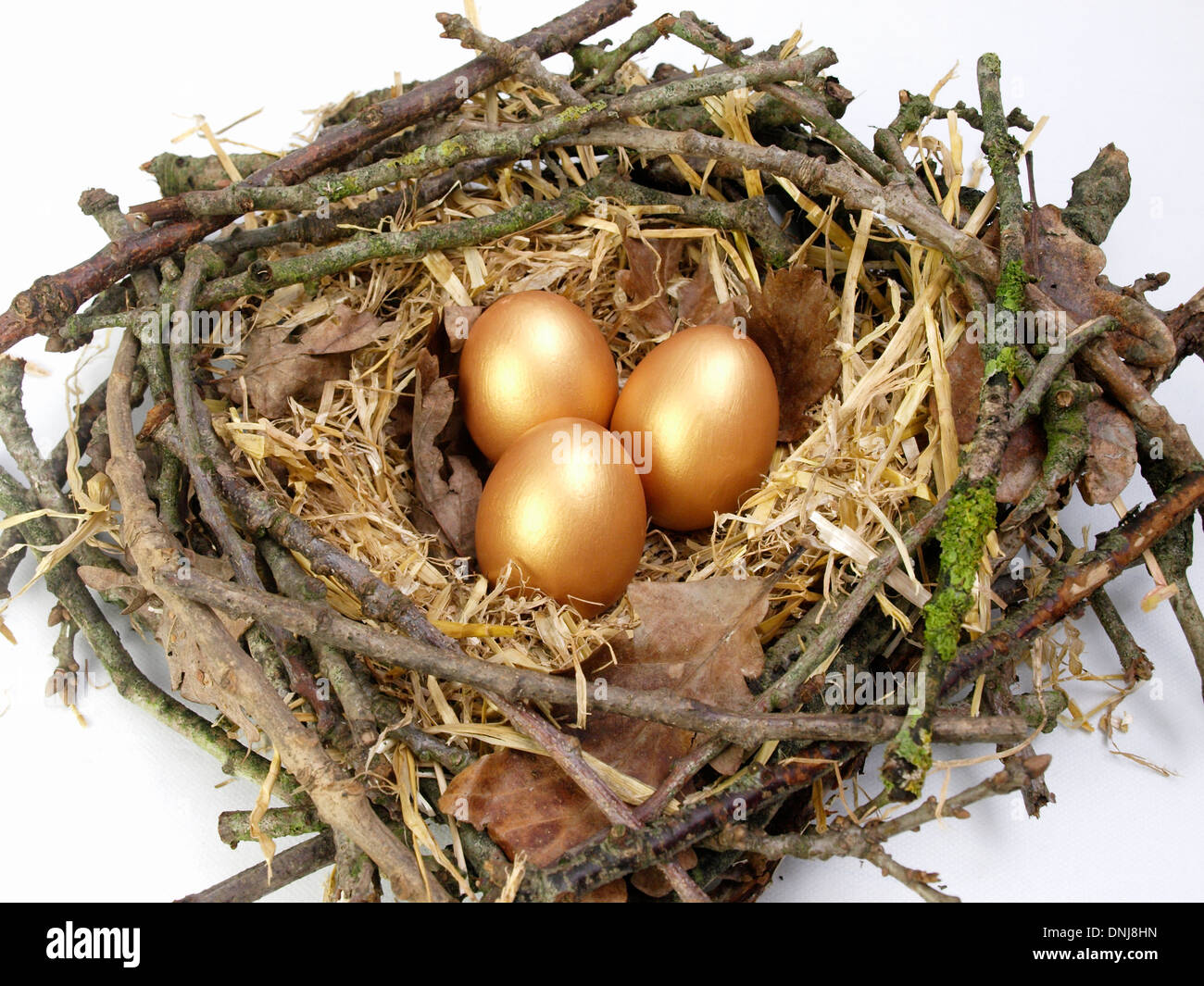 Tre golden le uova in un nido Foto Stock