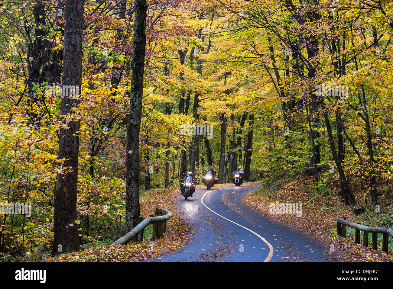 Motociclisti su rurale strada d'autunno, Mt. Greylock State Reservation, Massachusetts, STATI UNITI D'AMERICA Foto Stock