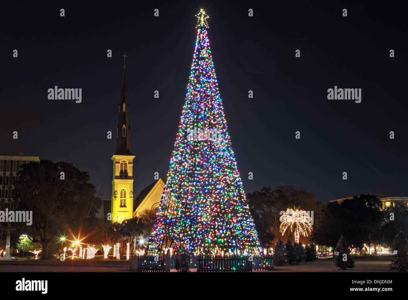 Albero di Natale e la cittadella piazza Chiesa Battista on Marion Square nel centro storico di Charleston, Carolina del Sud. Foto Stock