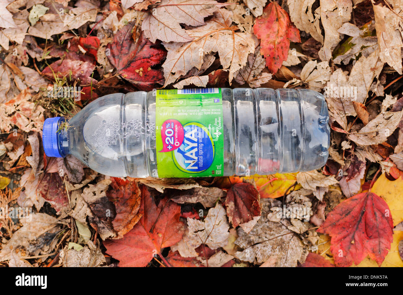 Immondizia di plastica: una bottiglia di Naya marchio " acqua naturale sorgiva' scartati su una catasta di decadendo foglie di autunno. Foto Stock