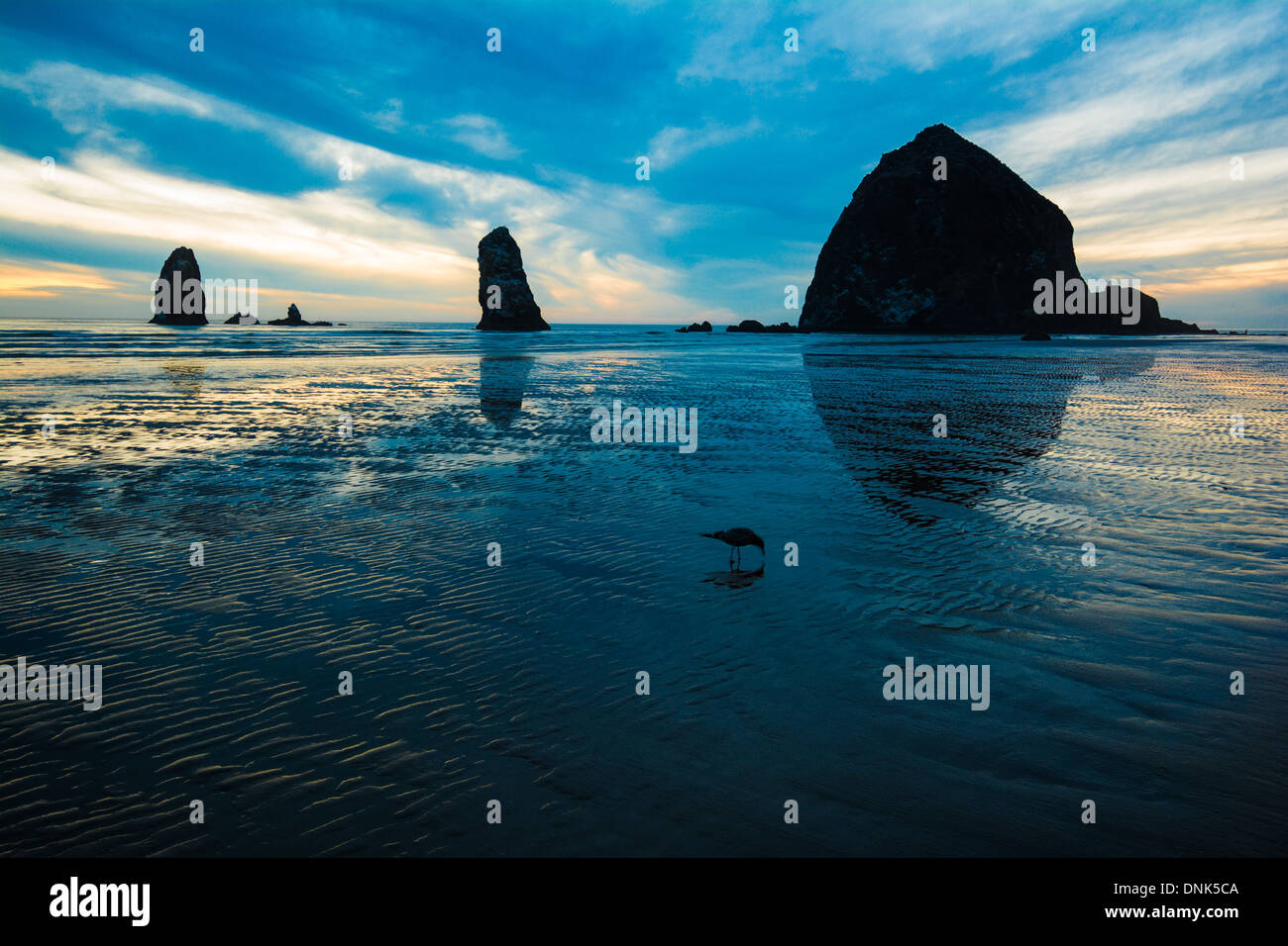 Haystack Rock & gli aghi, Cannon Beach, Oregon, Stati Uniti d'America Foto Stock