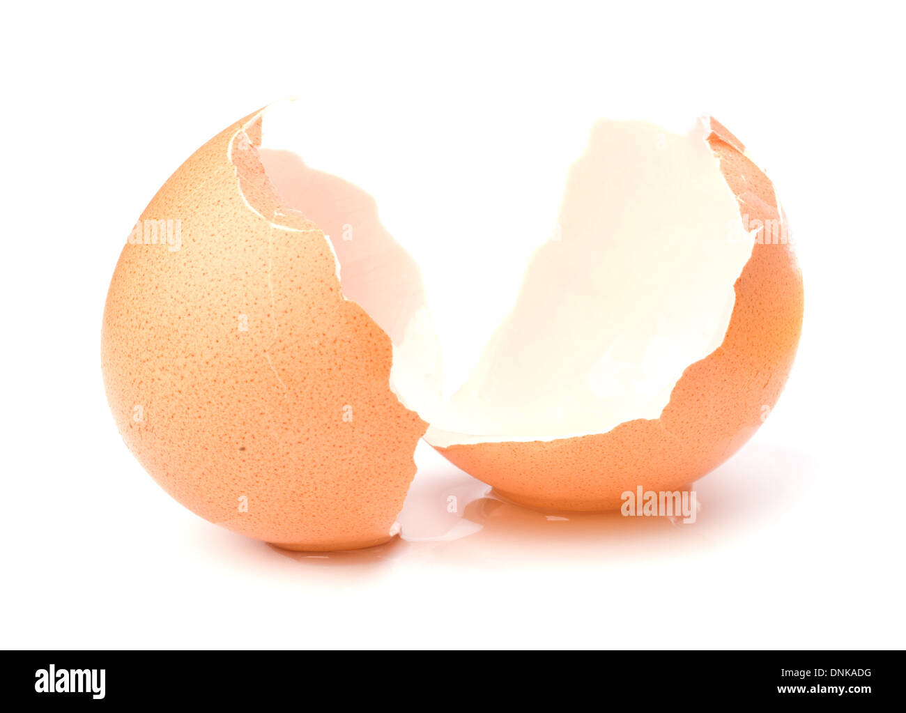 Rotture di guscio d'uovo isolato su sfondo bianco Foto Stock