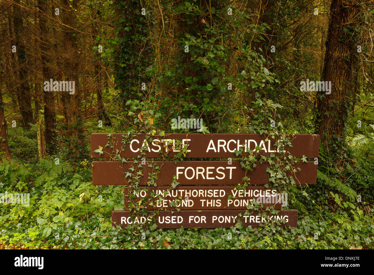 Il castello di Archard foresta, Lough Erne Laghi County Fermanagh, Irlanda del Nord, Regno Unito Foto Stock
