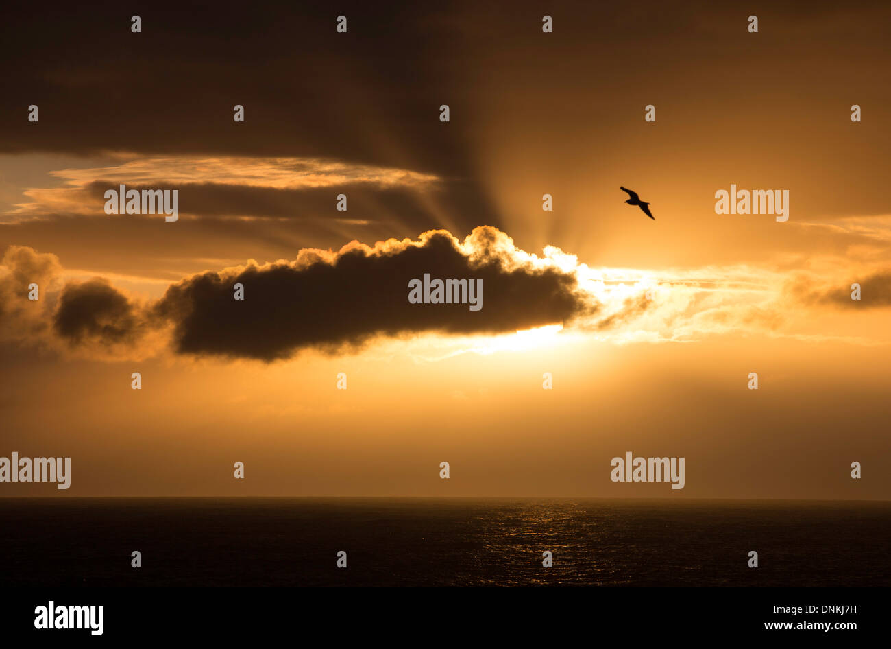 Il sole di mezzanotte dietro il cloud nelle Isole Lofoten in Norvegia Foto Stock
