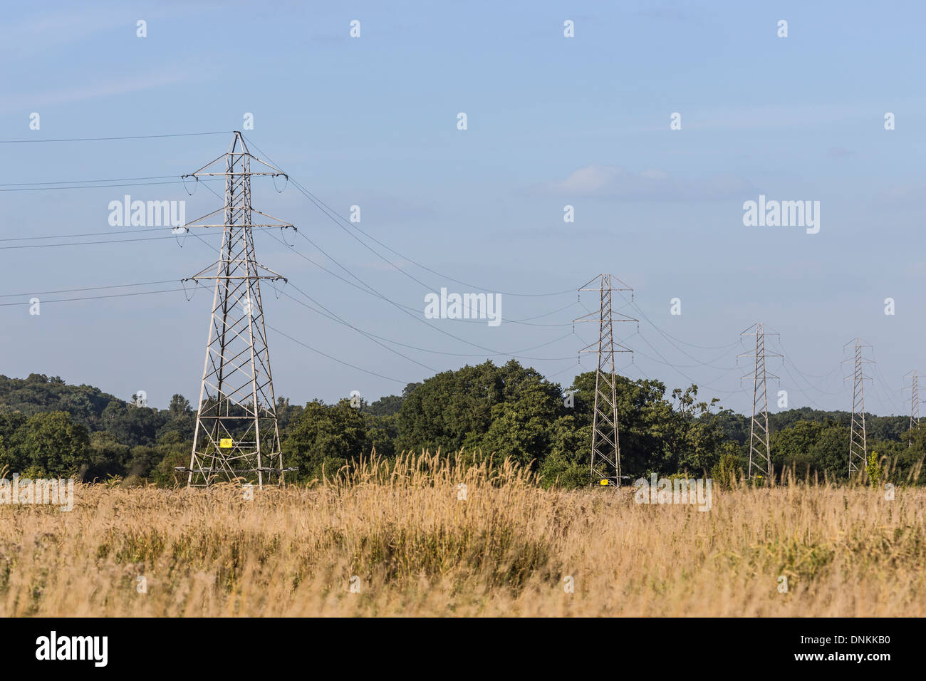 Elettricità tralicci in piedi in un campo erboso nel Surrey, Regno Unito, in estate con alberi in background e cielo blu Foto Stock