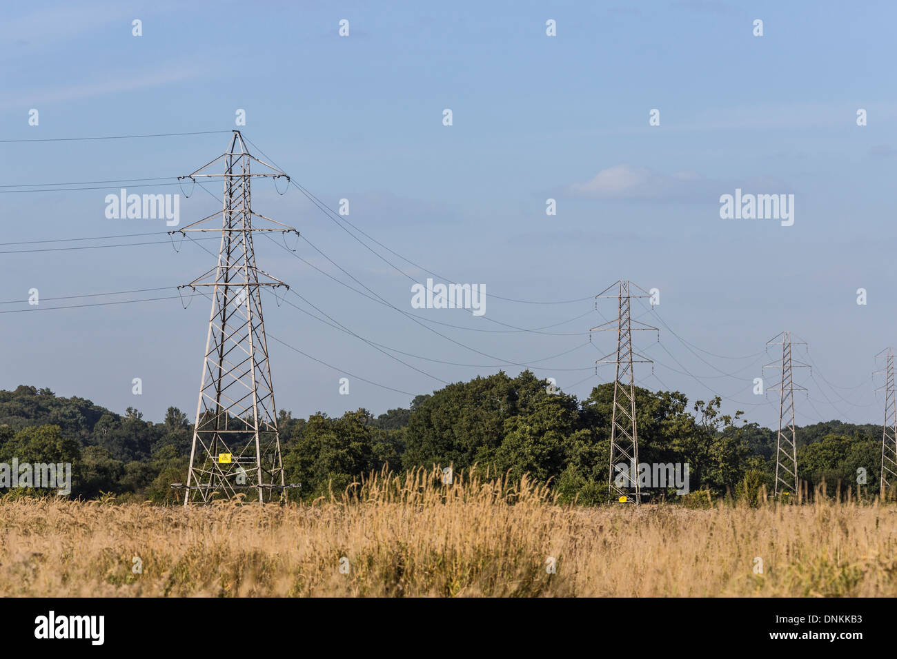 Elettricità tralicci in piedi in un campo erboso nel Surrey, Regno Unito, in estate con alberi in background e cielo blu Foto Stock