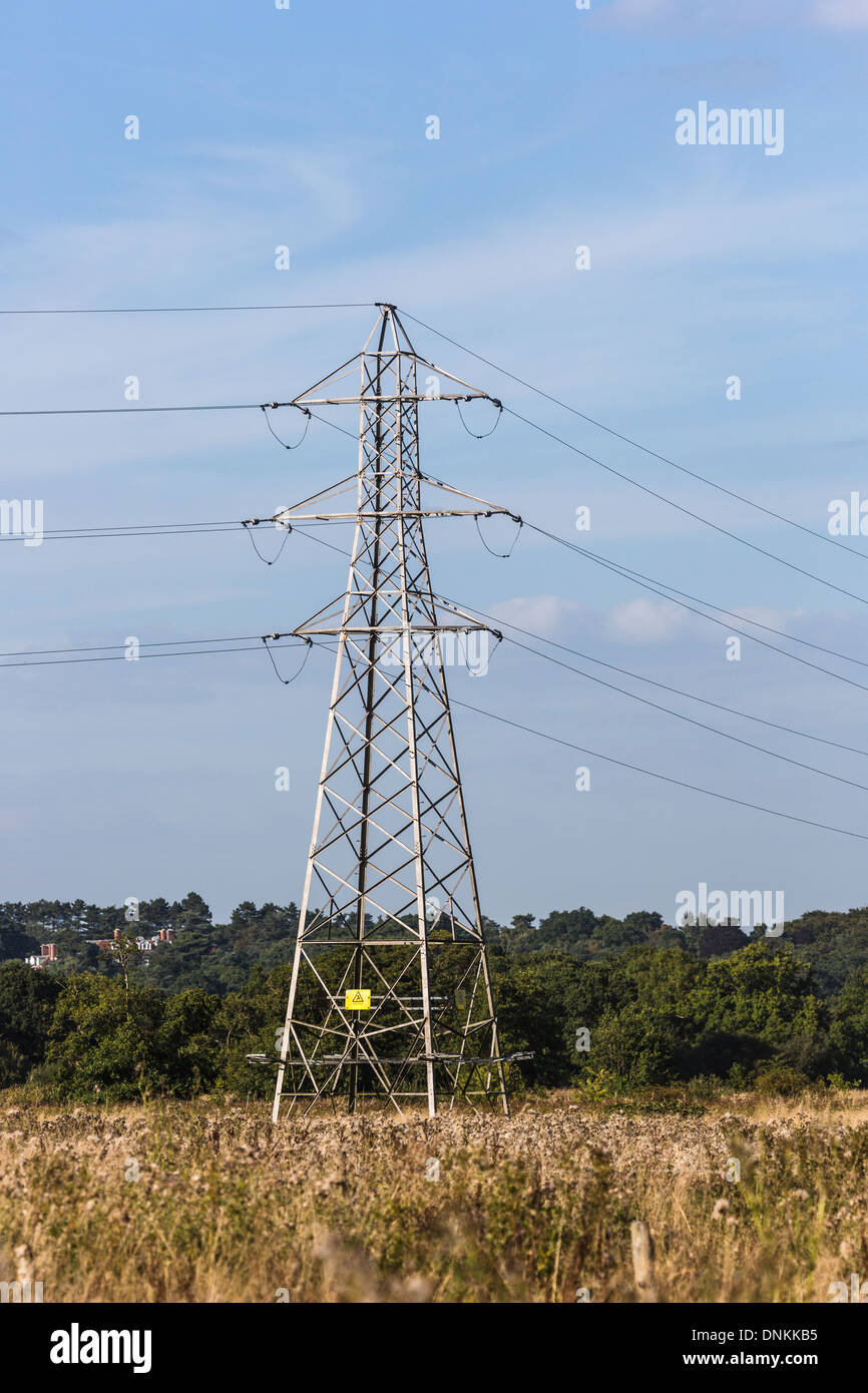 Pilone di elettricità in piedi in un campo erboso nel Surrey, Regno Unito, in estate con alberi in background e cielo blu Foto Stock