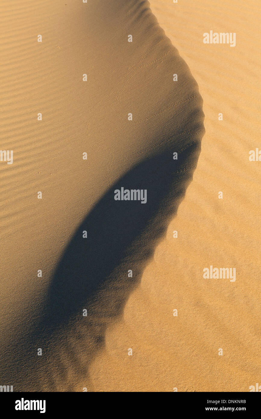 Algodones dune di sabbia, Imperial dune di sabbia monumento nazionale, la California del sud-est Foto Stock