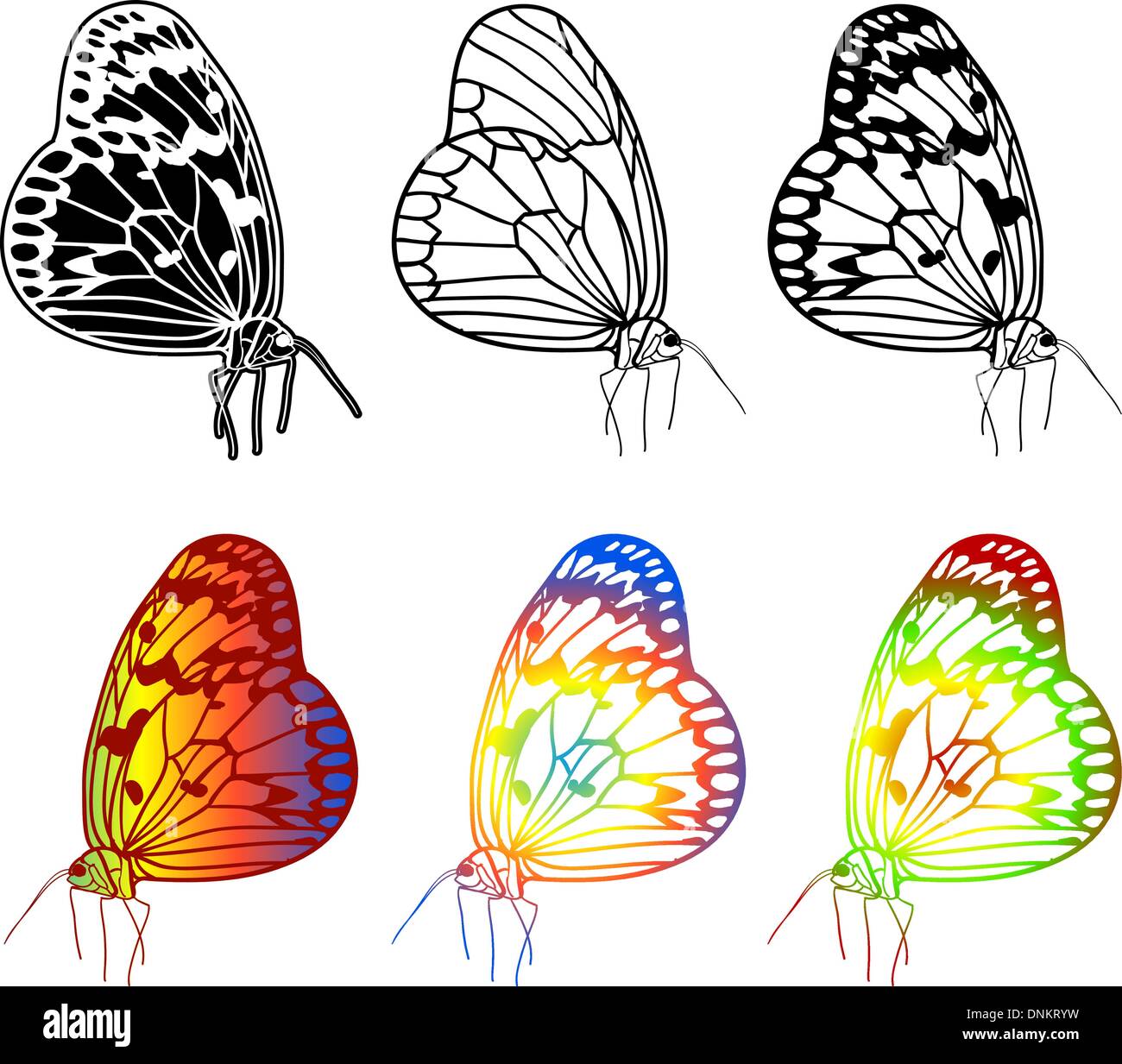 Set di vettore di bellissime farfalle. Illustrazione Vettoriale