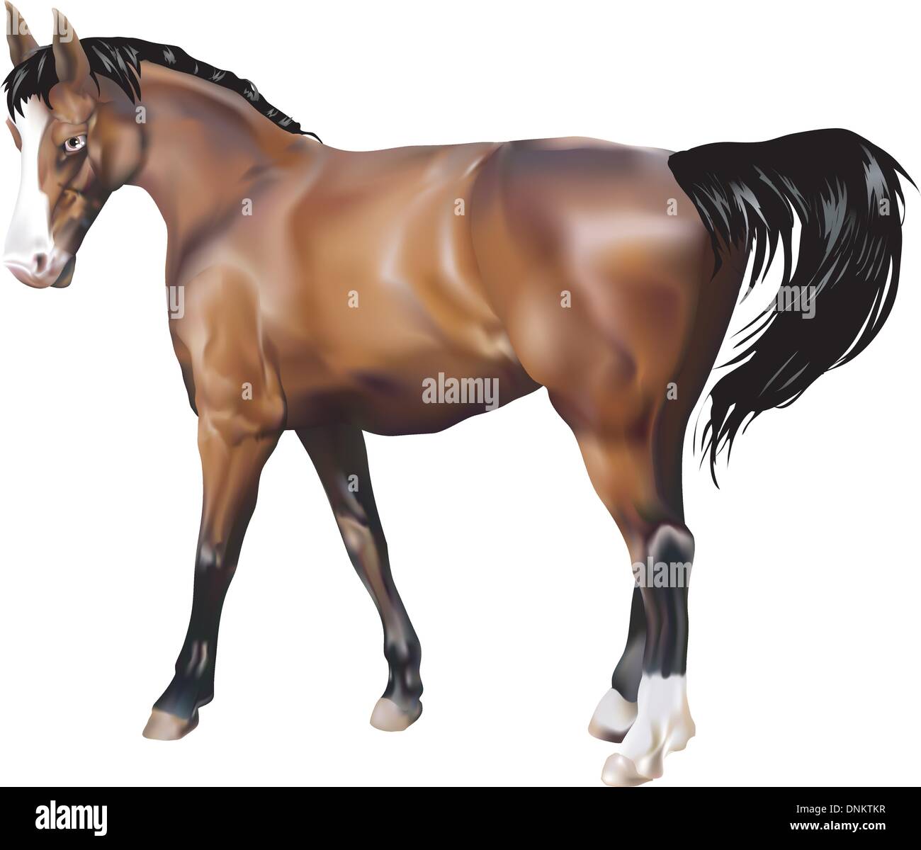 Una illustrazione fotorealistici di un cavallo. Creato con maglie. Illustrazione Vettoriale