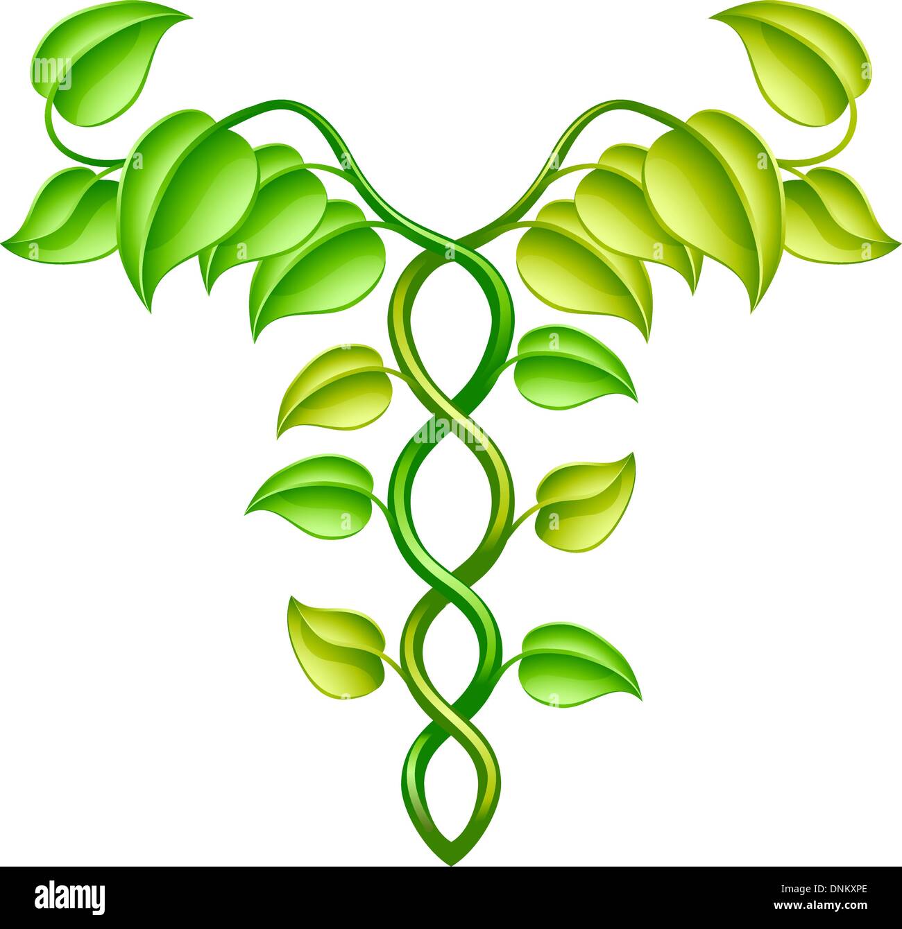 Naturale o di medicina alternativa nozione di due vitigni intrecciate in un caduceo stile. Illustrazione Vettoriale