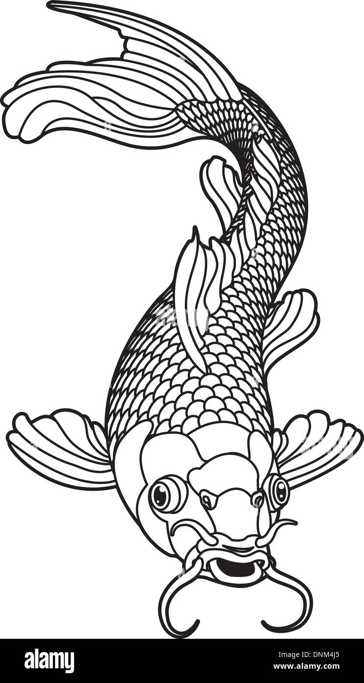 Una bella carpe koi fish illustrazione in bianco e nero. Simbolo di amore, amicizia e prosperità Illustrazione Vettoriale