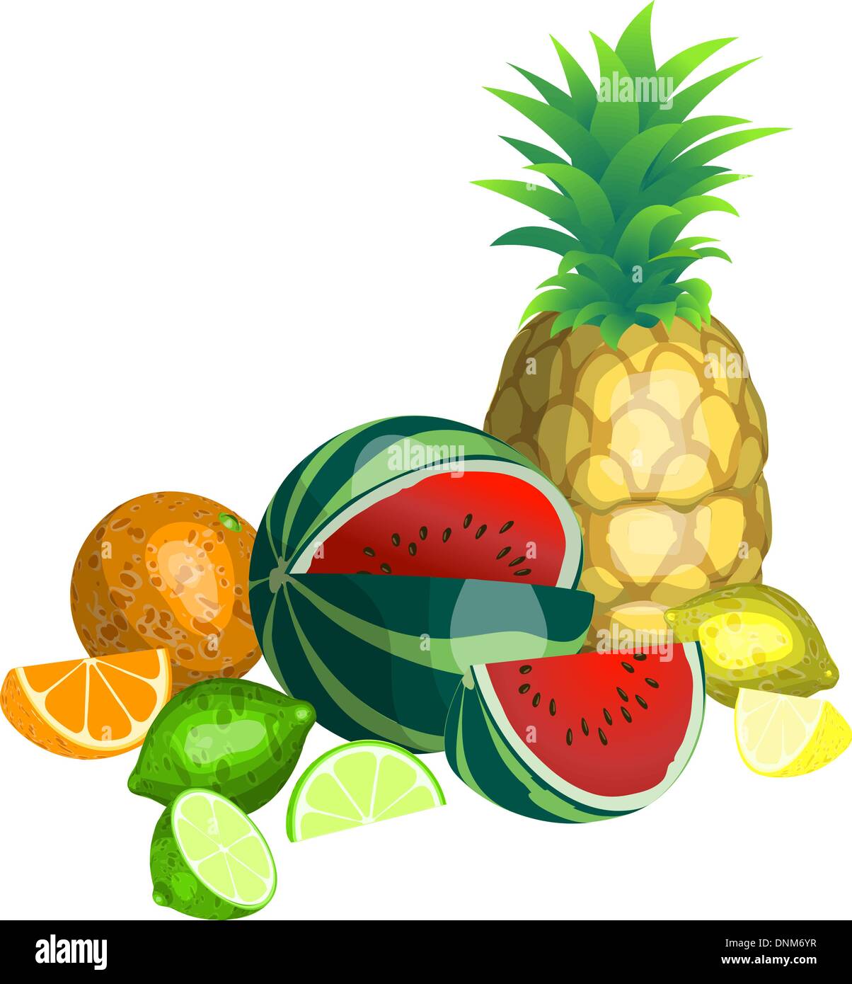 Alcuni frutti tropicali Illustrazione Vettoriale